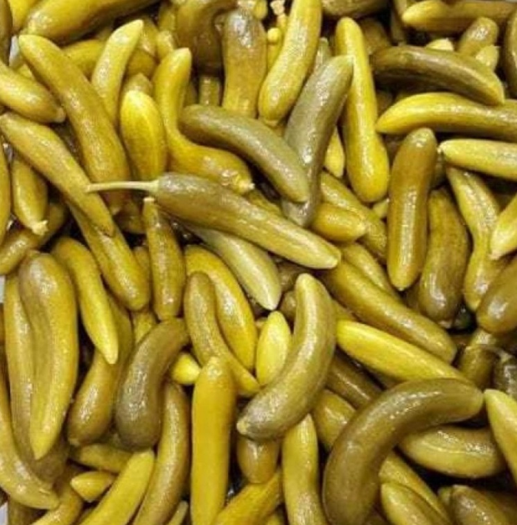 تصویر از خیارشور ویژه باسمنج - دبه 8 کیلویی