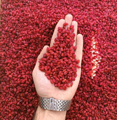 تصویر از زرشک فله ای